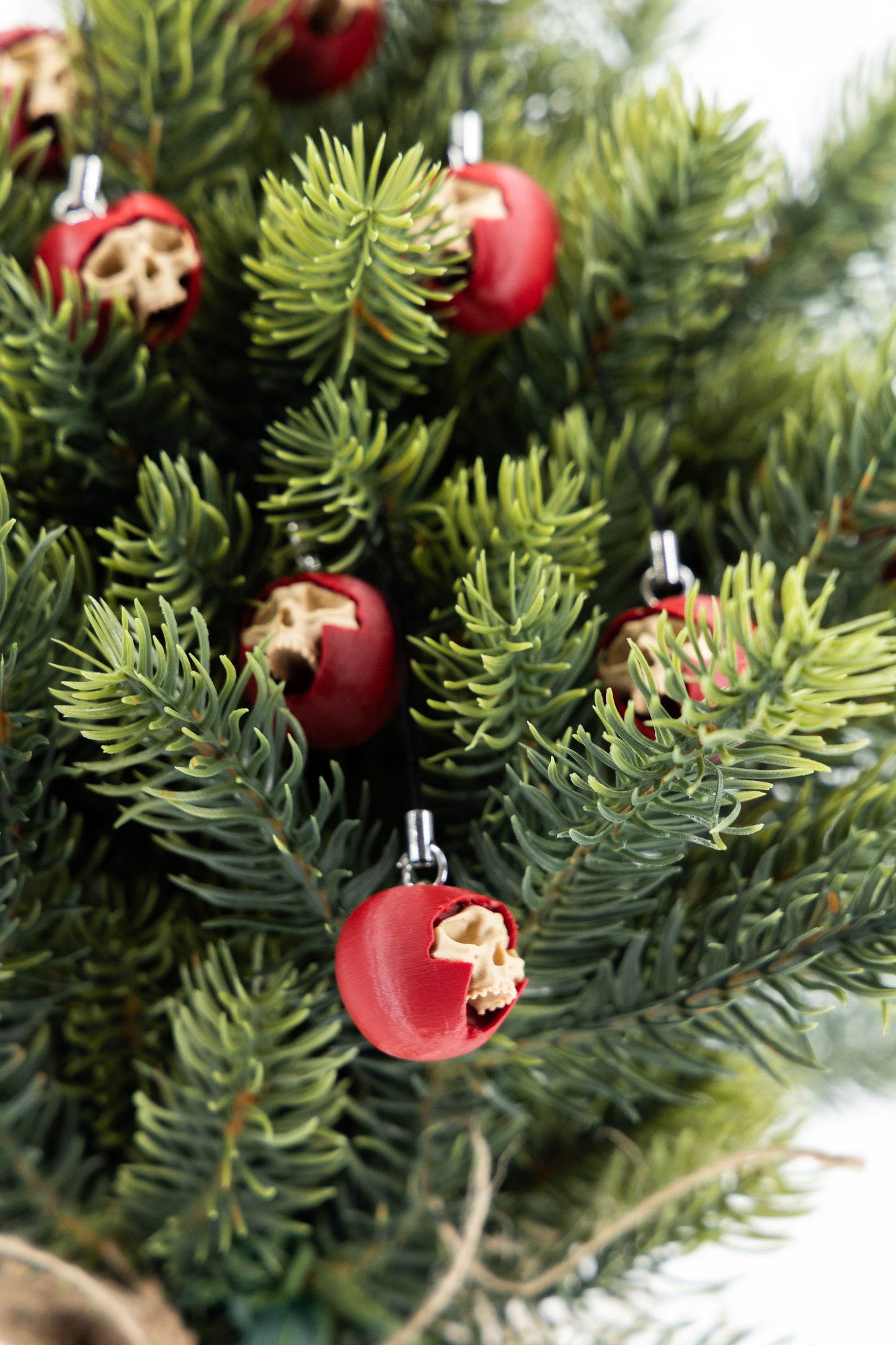 NO KIND PULPY BONES - Apple TREE