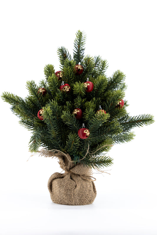 NO KIND PULPY BONES - Apple TREE