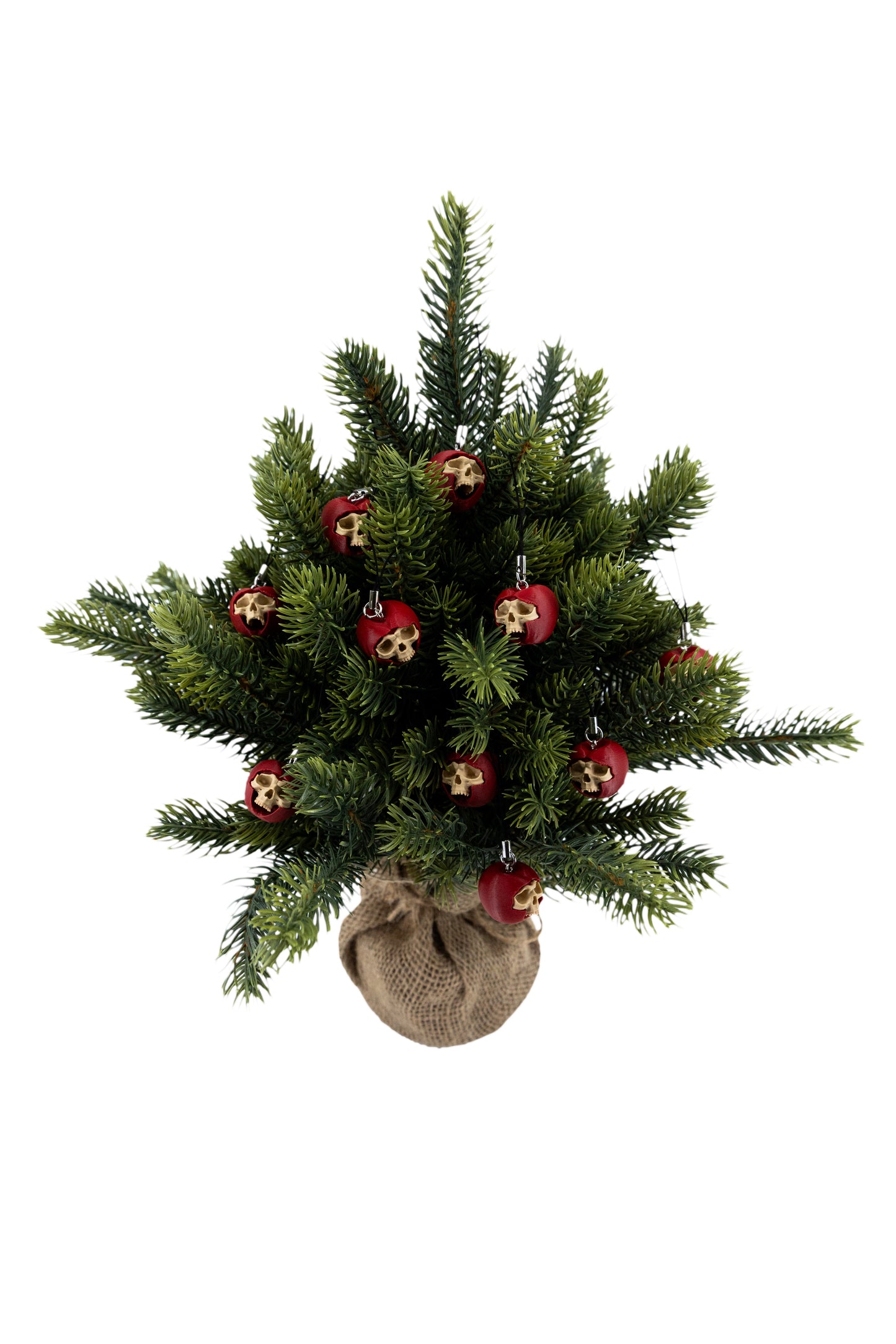 NO KIND PULPY BONES - Apple TREE