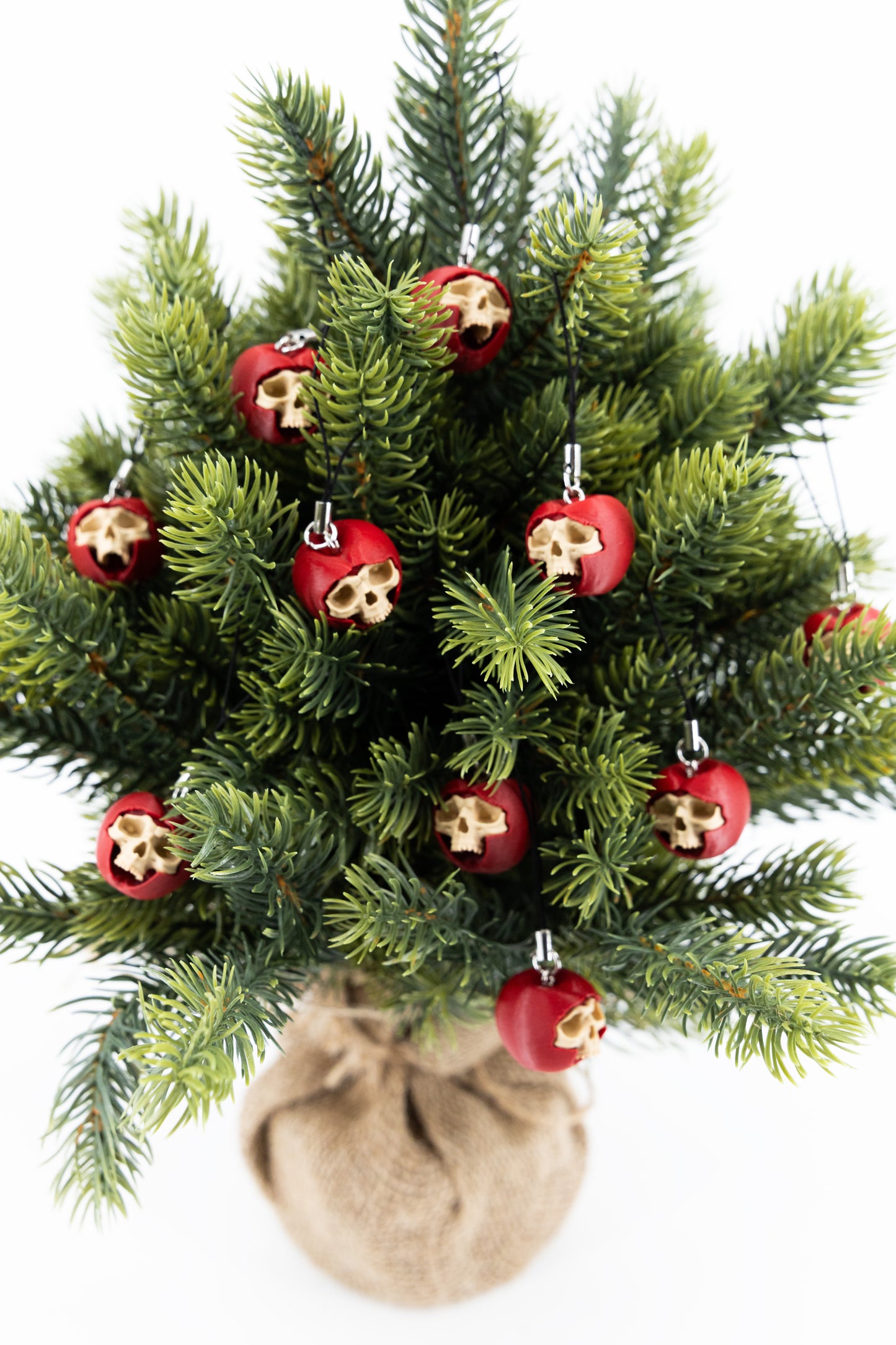 NO KIND PULPY BONES - Apple TREE